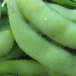 soybeans - rhapsody natural fooods