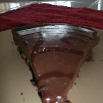 Amazake Mocha Mint Custard Cake